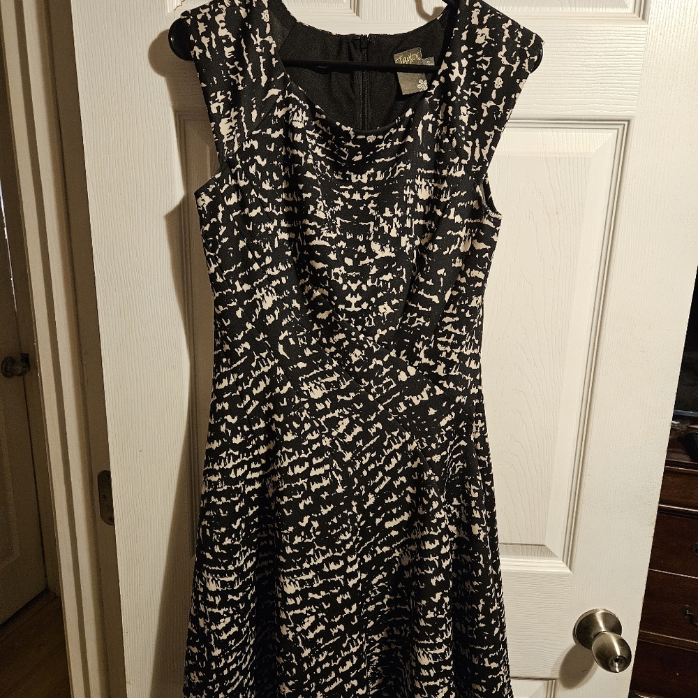 Size 6 women's dress